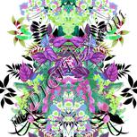 Colour:C