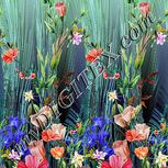 Colour:A