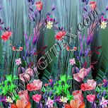 Colour:B