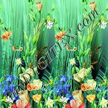 Colour:K