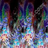 Colour:F