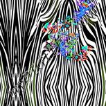 Colour:F
