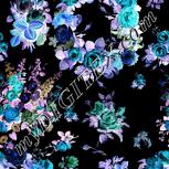 Colour:F