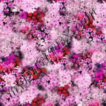 Colour:B