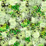 Colour:D