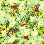 Colour:K