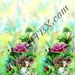 Colour:K