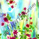 Colour:K