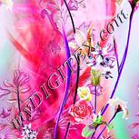 Colour:B