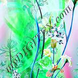 Colour:C