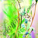 Colour:D