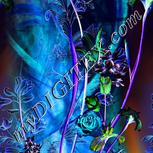 Colour:F