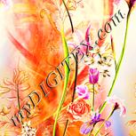 Colour:J