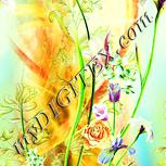 Colour:K