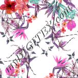Colour:B