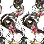 Colour:A