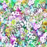 Colour:C