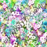 Colour:D