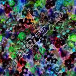 Colour:F