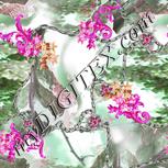 Colour:B