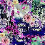 Colour:B