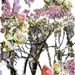 Colour:A
