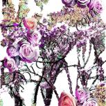 Colour:B