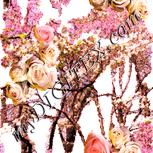 Colour:J