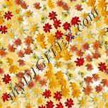 Colour:A