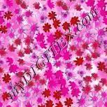 Colour:B