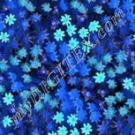 Colour:F