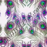 Colour:B
