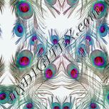 Colour:C