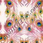 Colour:J