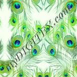 Colour:K
