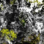 Colour:A