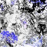 Colour:F