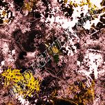 Colour:J