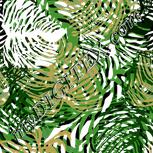Colour:A