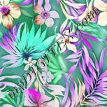Colour:B
