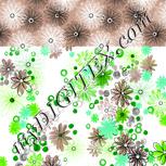 Colour:C