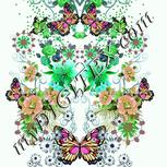 Colour:C