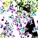 Colour:B