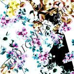 Colour:C