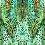 Colour:K