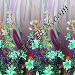 Colour:C