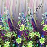 Colour:D