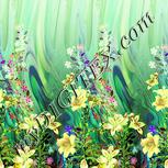 Colour:K