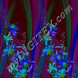 Colour:F