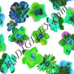 Colour:C